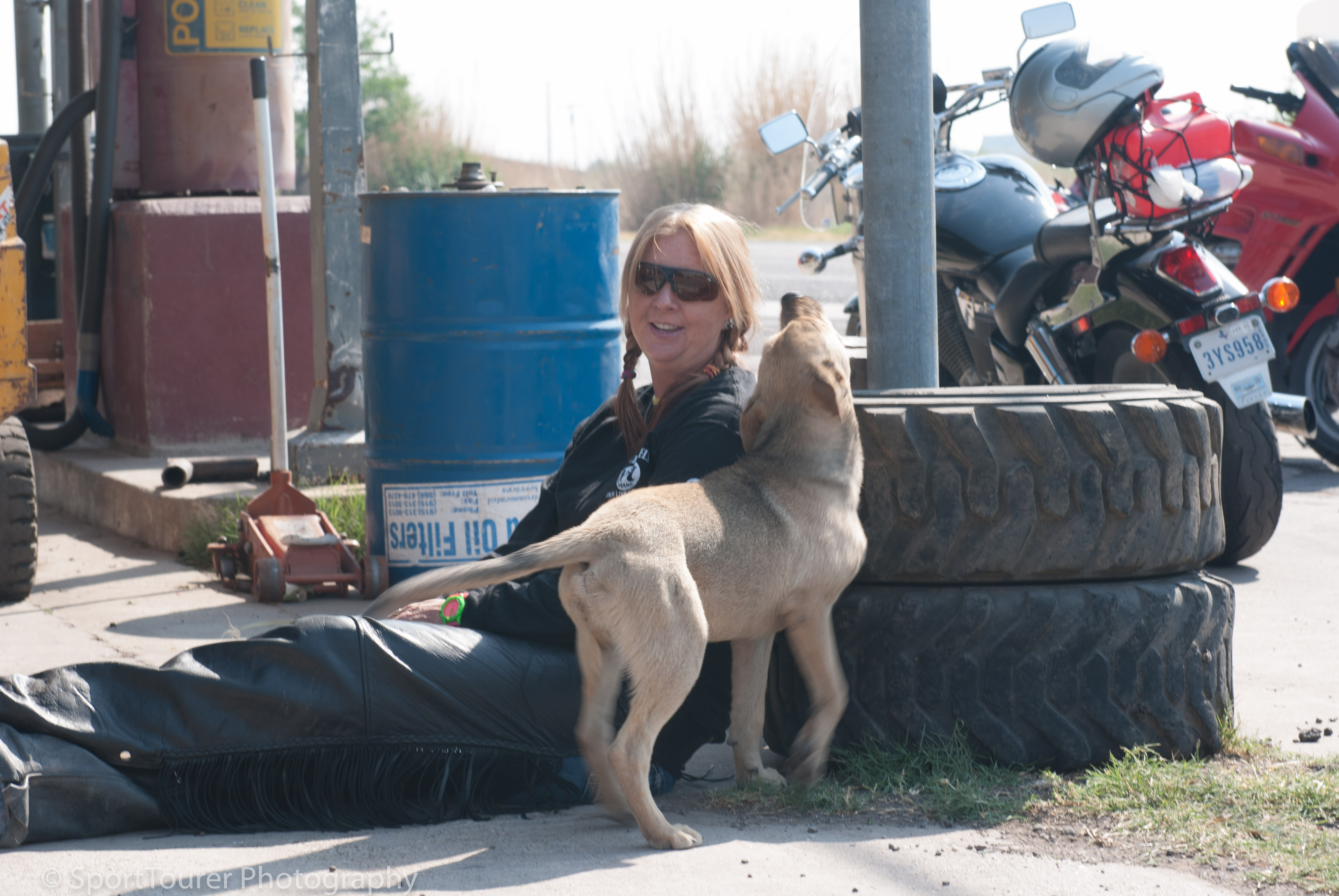  ........ and still nothing else to do but wait and play with junkyard dogs! 