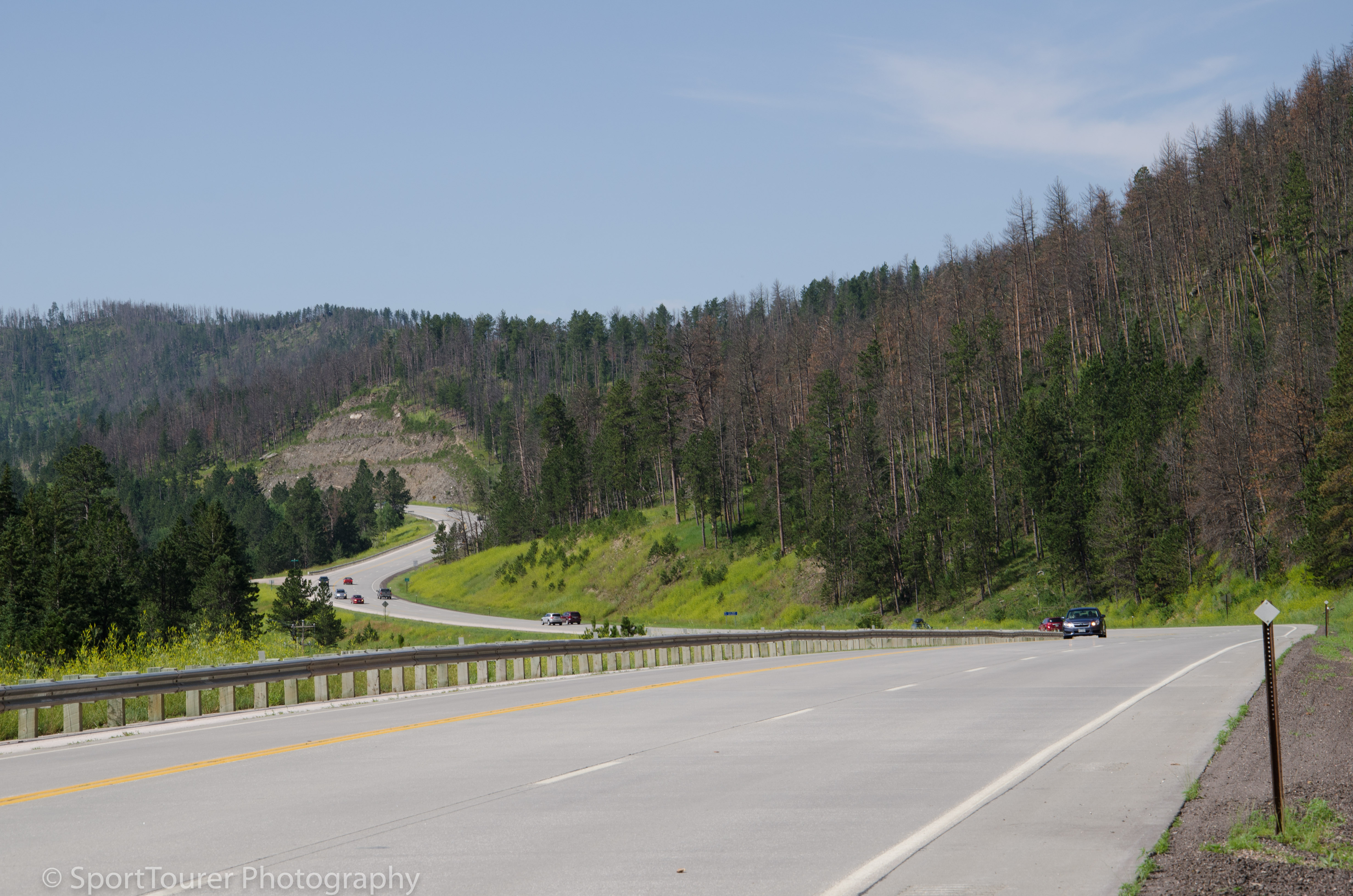  Winding road through the Black Hills of South Dakota. 