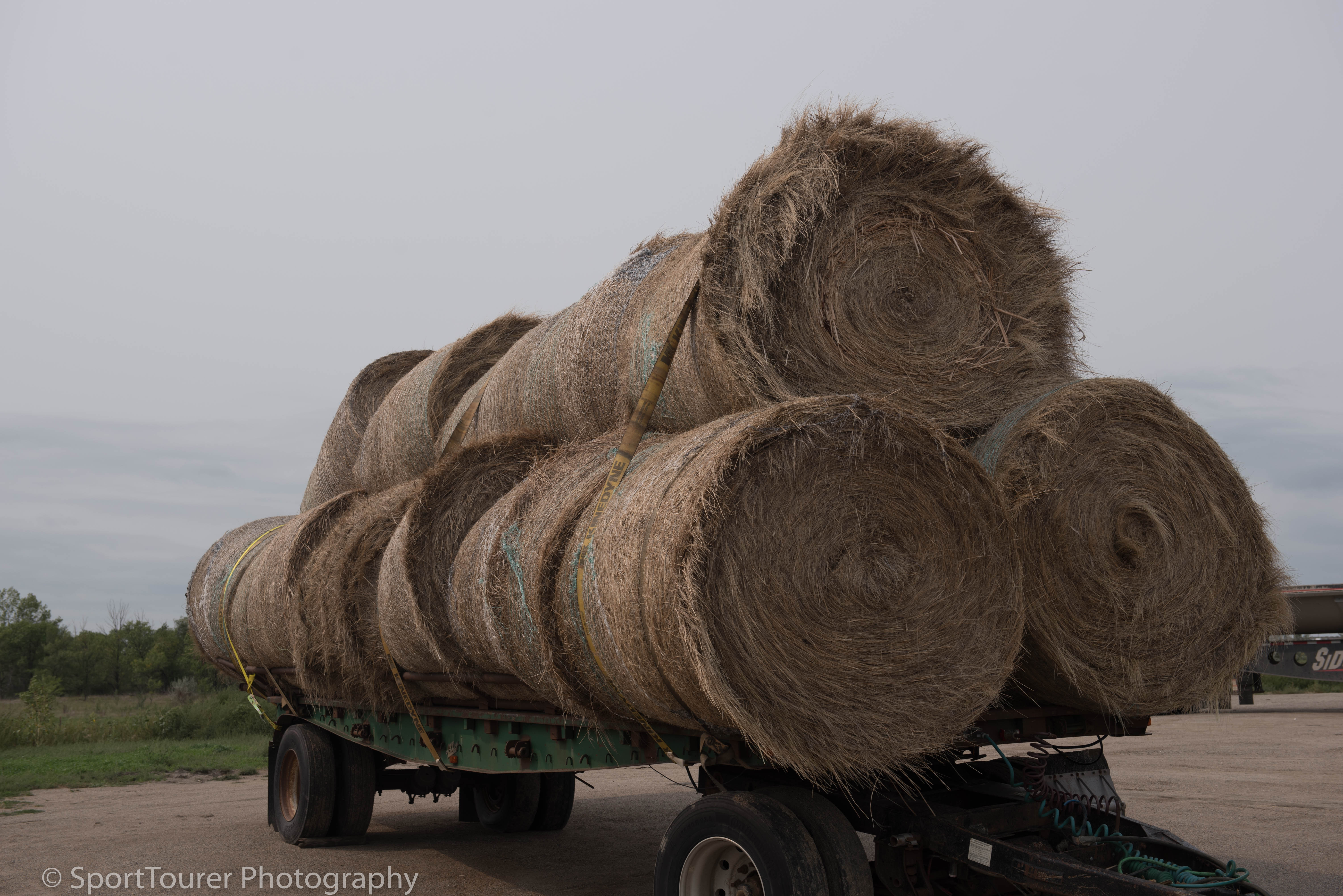  Bales of Alfalfa prepared well ahead of winter feeding of livestock 