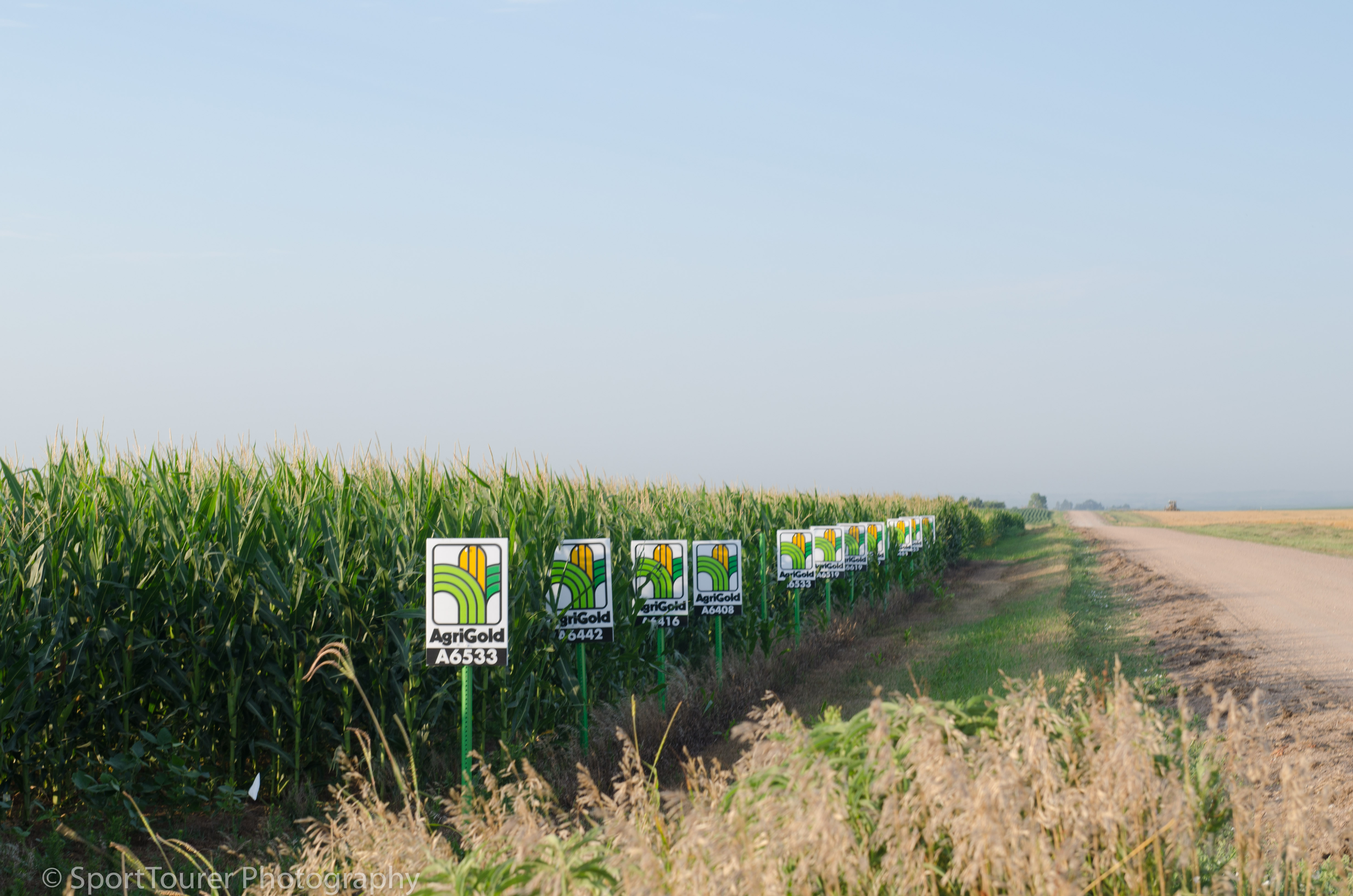  Nothing but rows and rows of corn and un-ending farmland! 