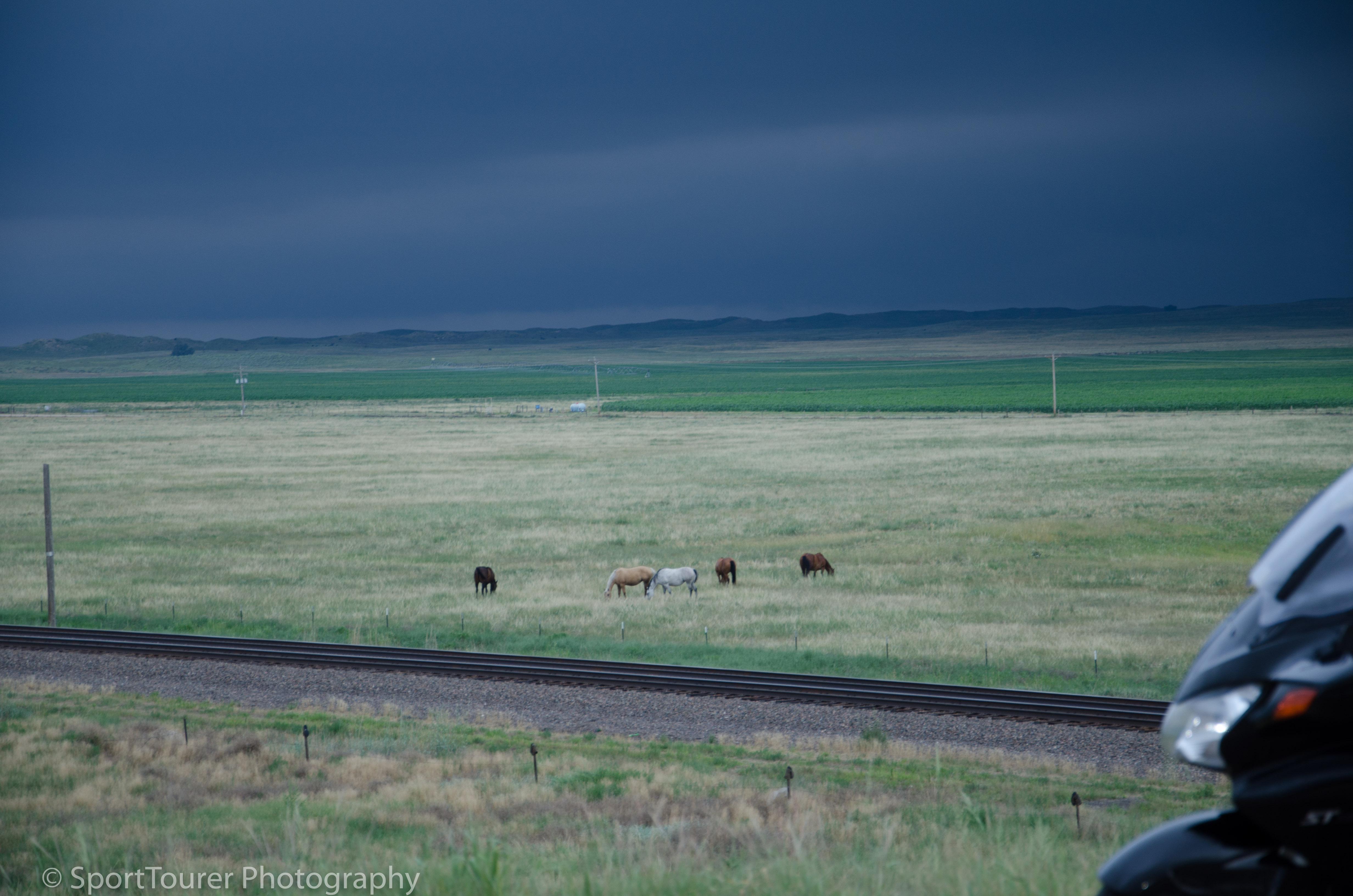  Oblivious to the oncoming storm. 