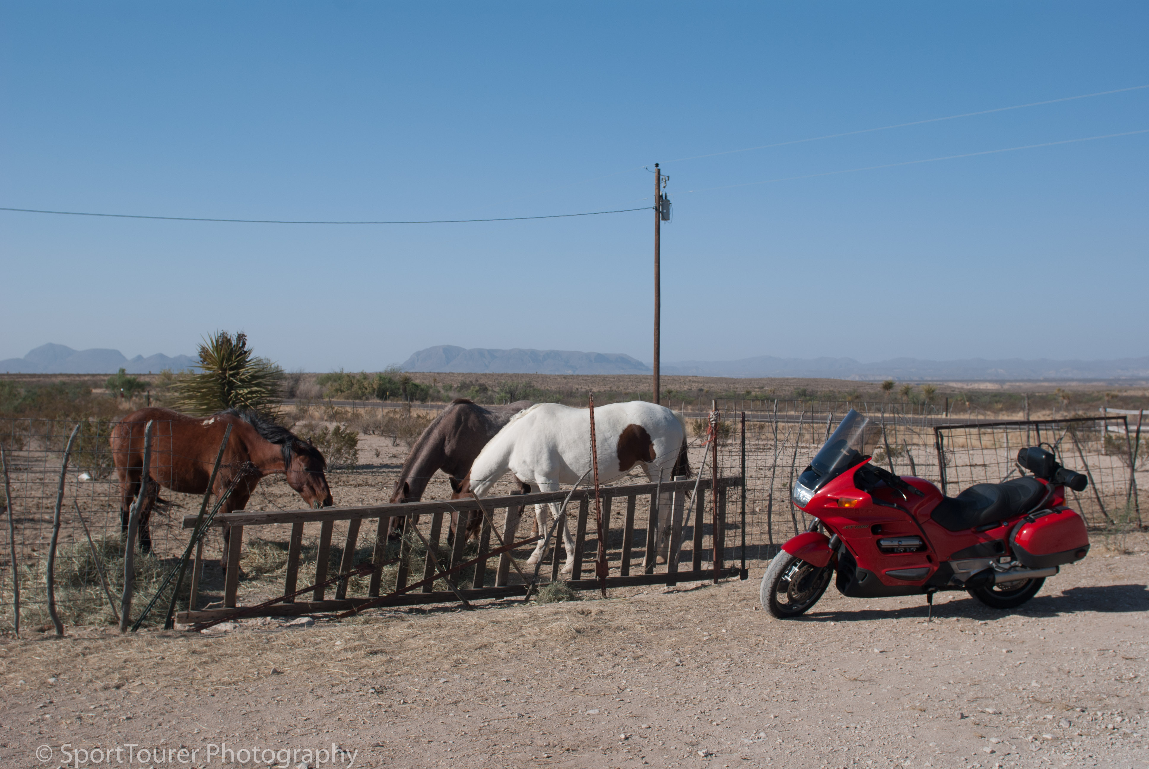  Horses .................. of a different kind. 