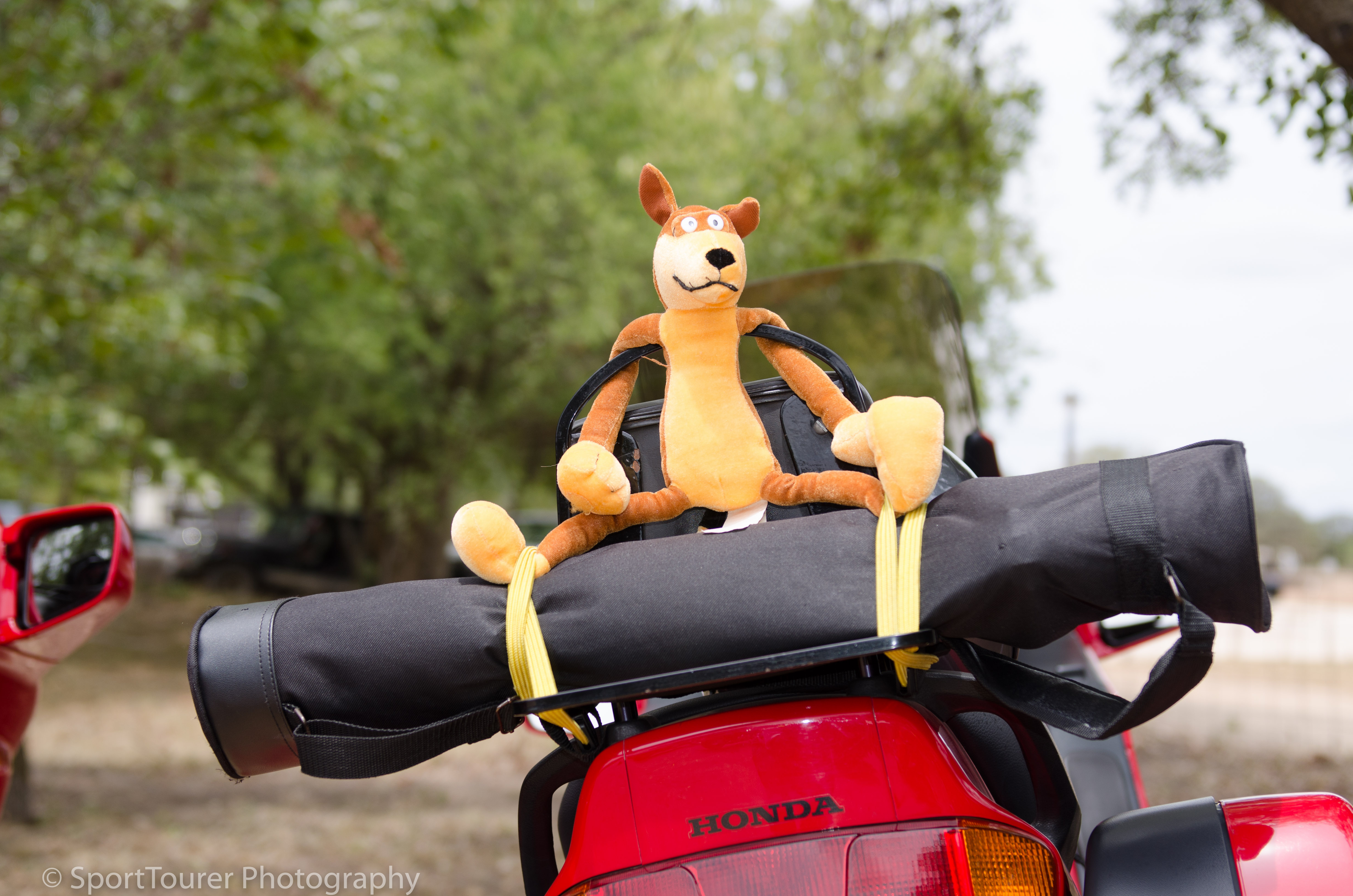  Best seat on the ride! 