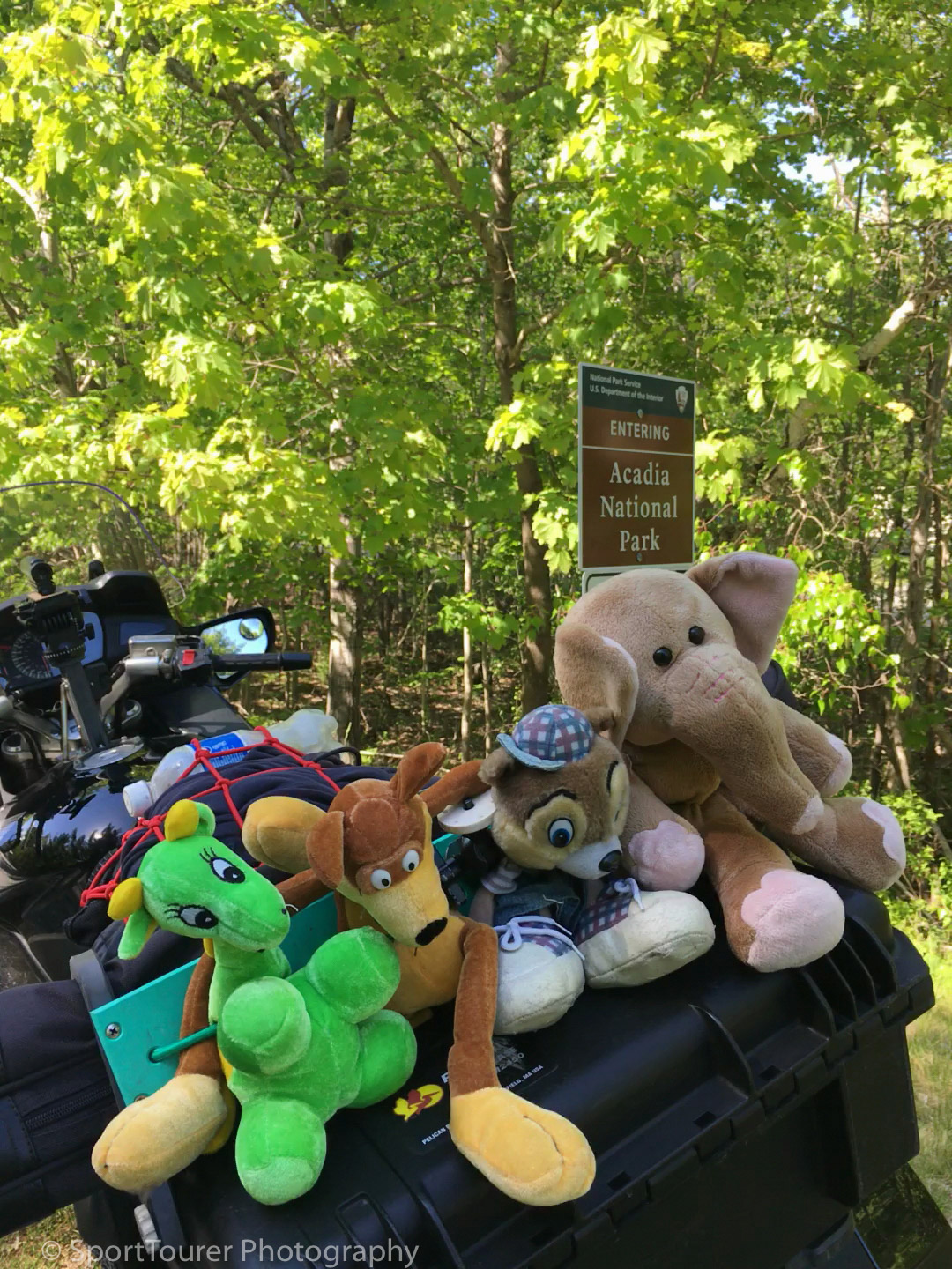  Sylvester, Scrappy, Teddy and Big-E. 