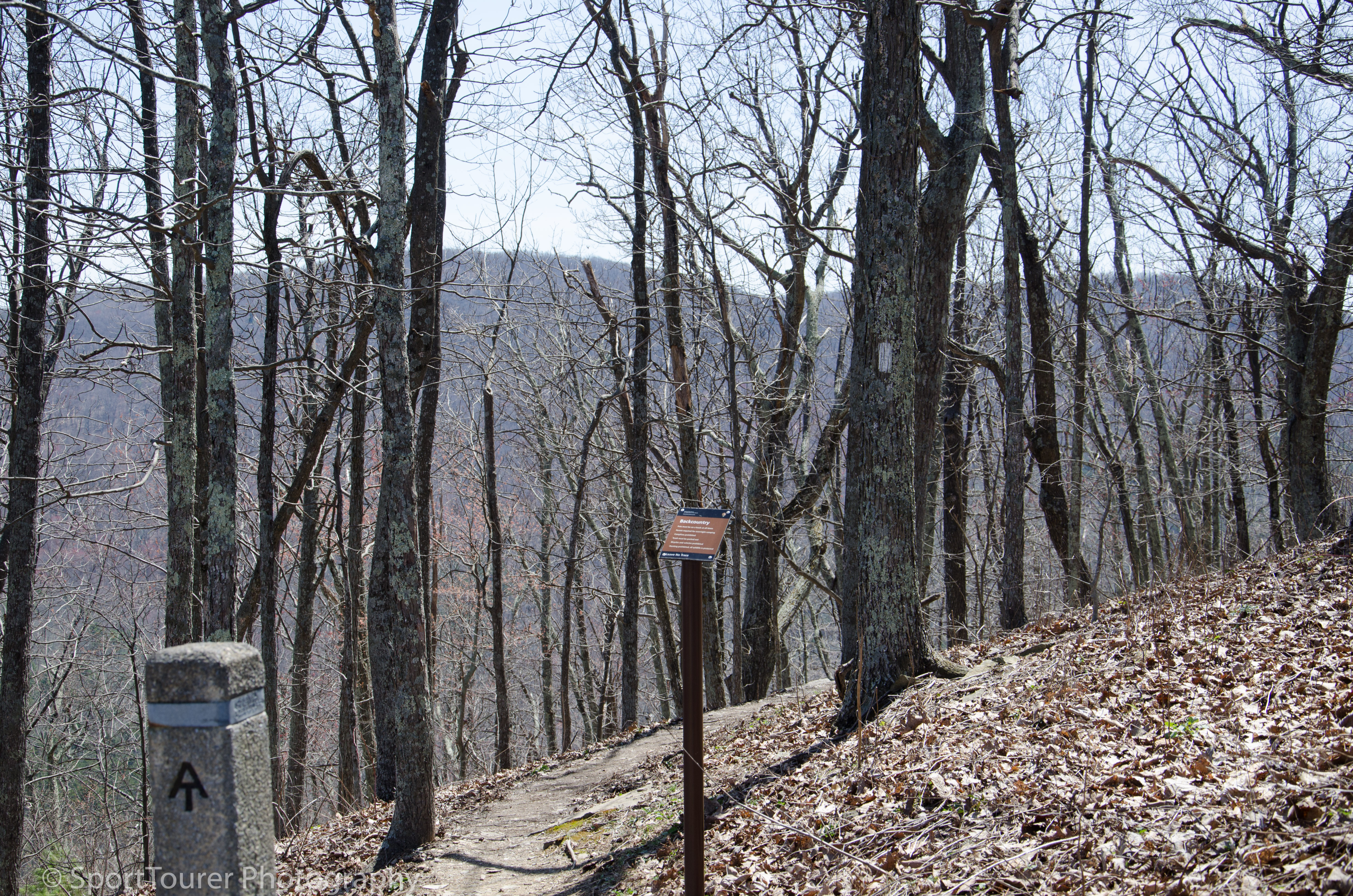  Looking northwards along the Appalachian Trail. 