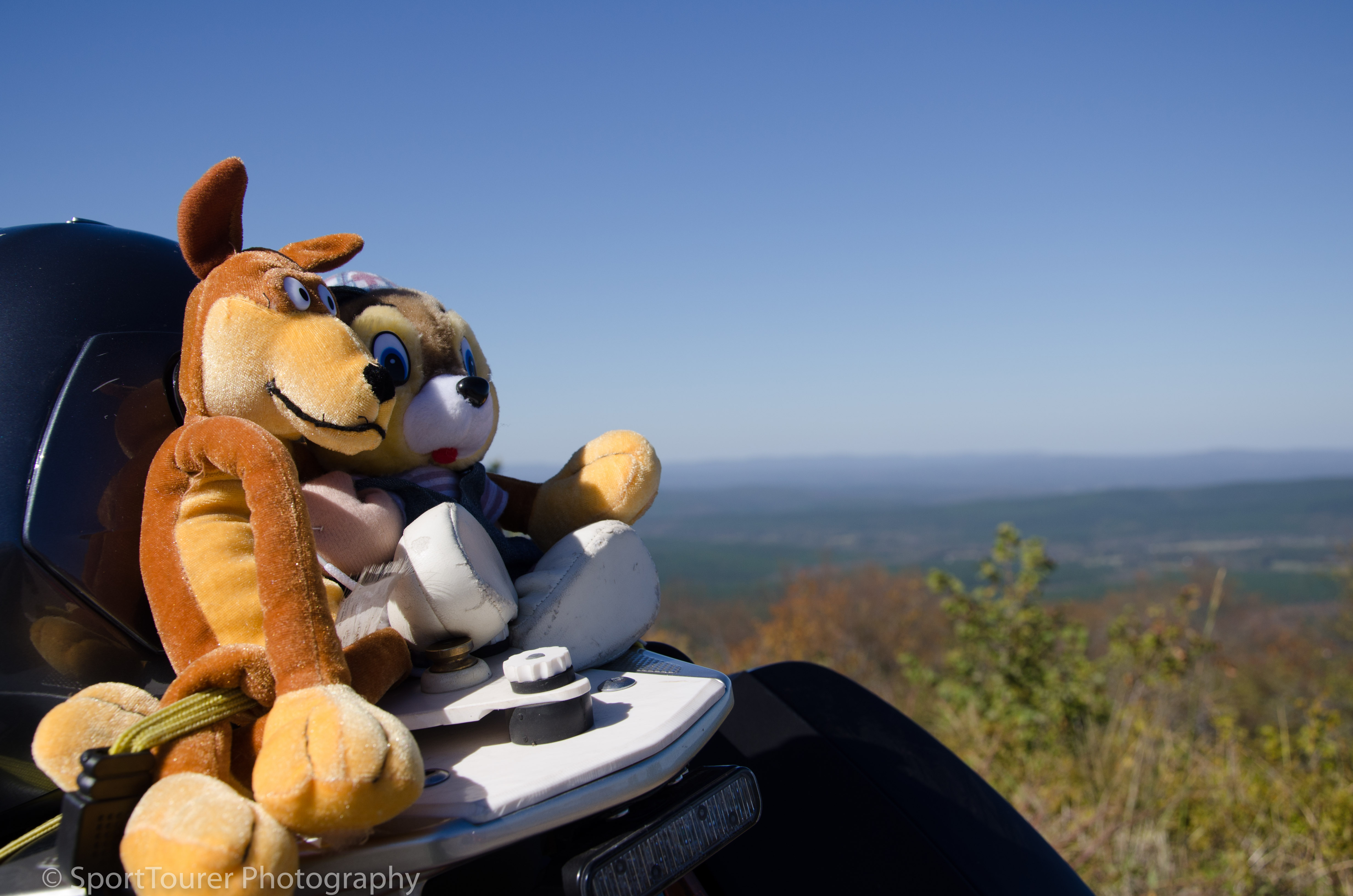  Atop Sugar Loaf Mountain, taking in the views. 